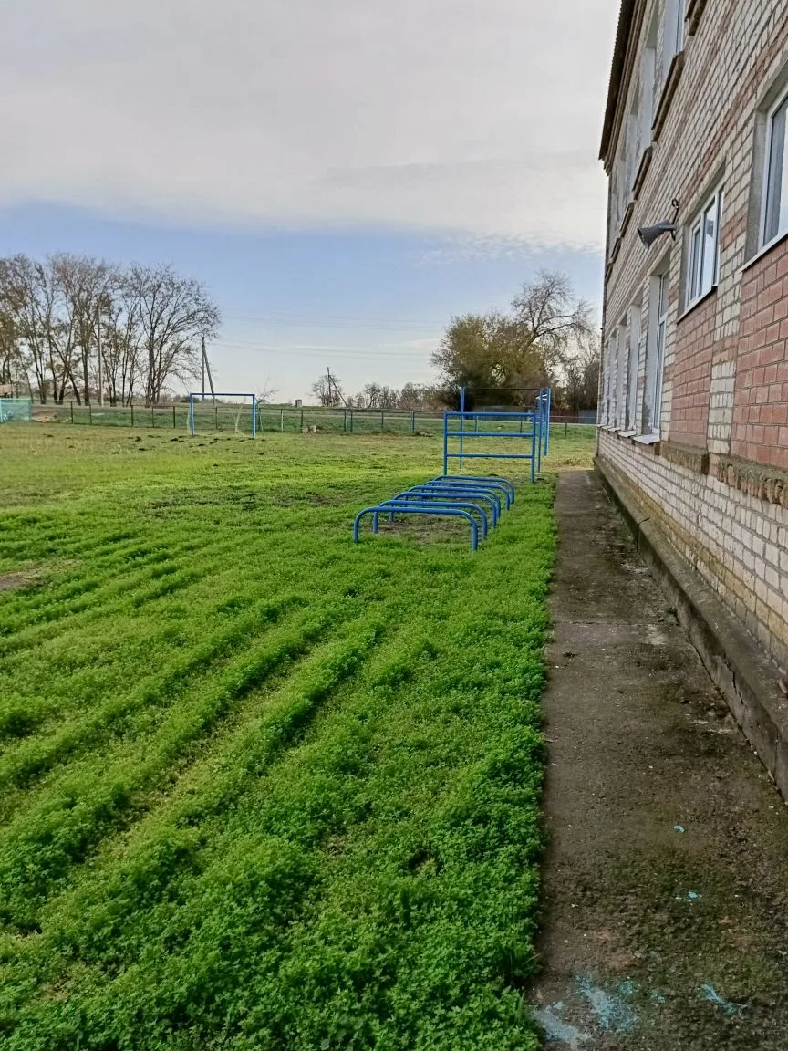 Изображения.